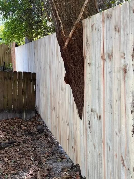 Least expensive fence in Jacksonville FL